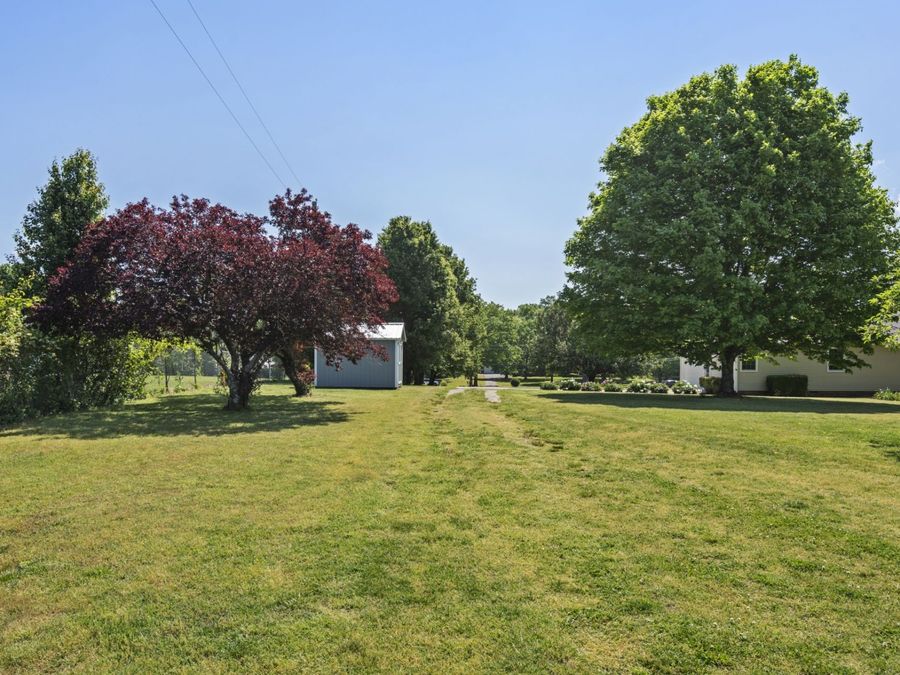 Property Image 46
