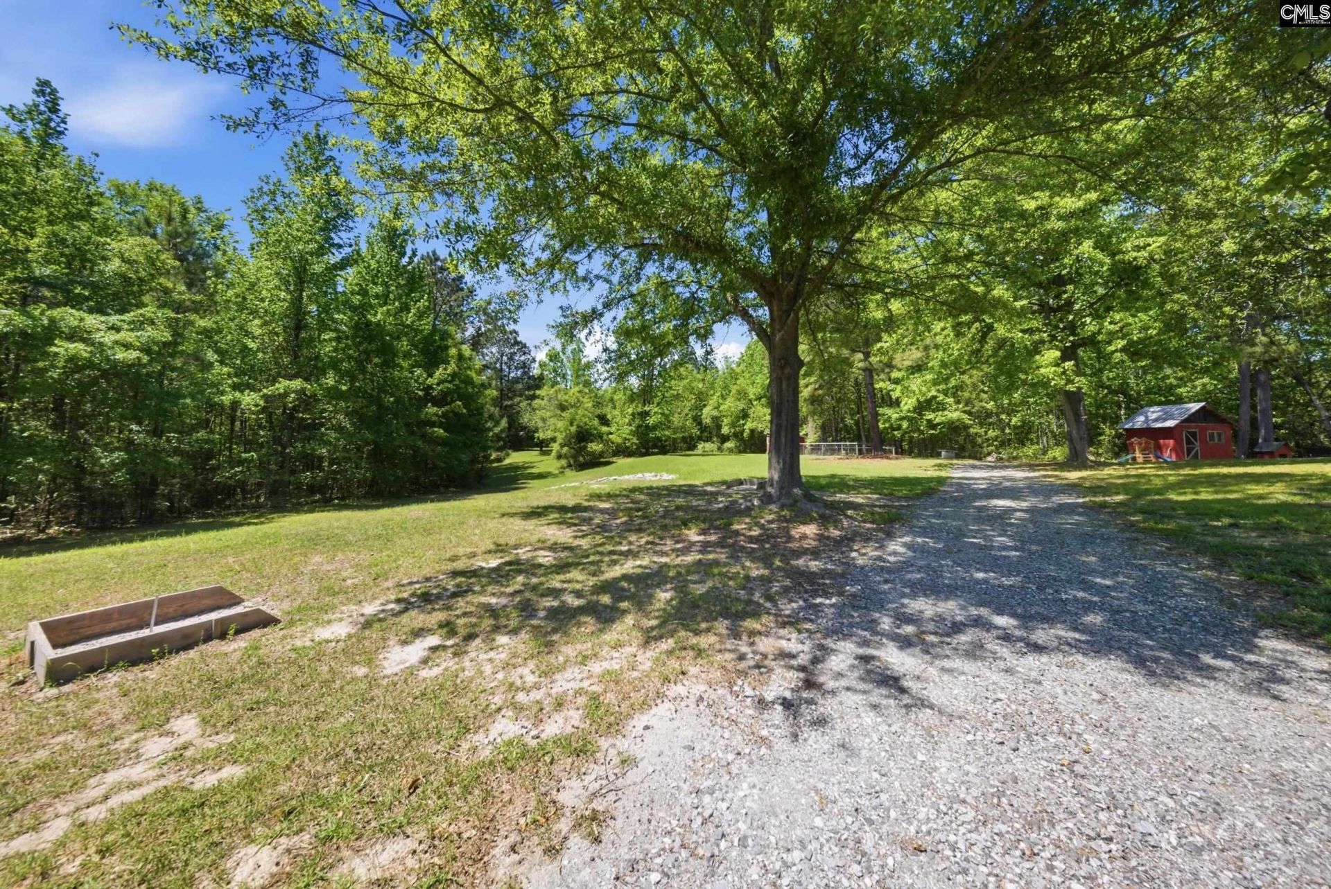 12205 Broad River Road  Photo 40