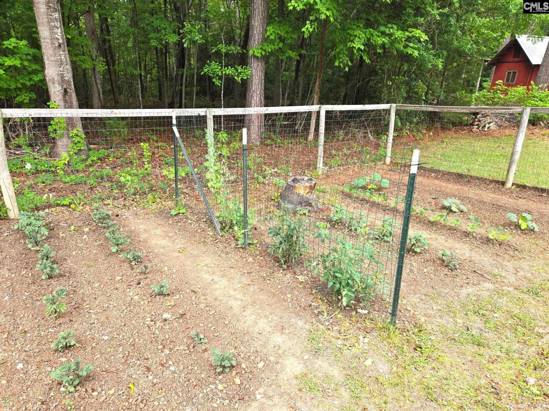 12205 Broad River Road  Photo 59