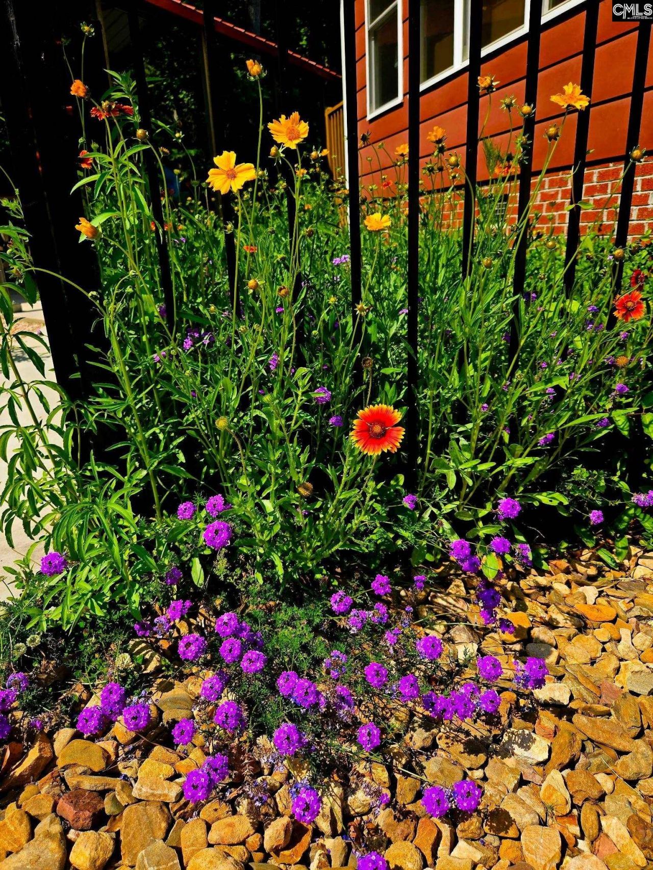 12205 Broad River Road  Photo 61