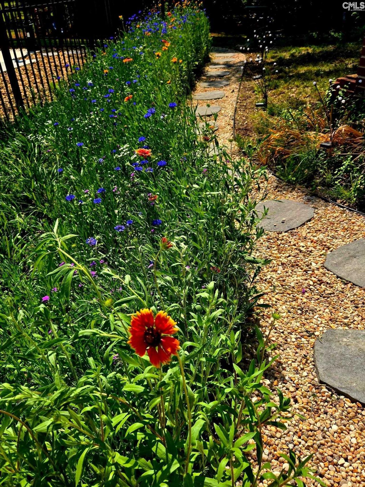 12205 Broad River Road  Photo 62