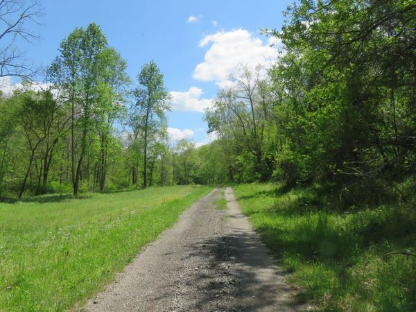 11265 Arnold Miller Road, Canaan, IN 47224