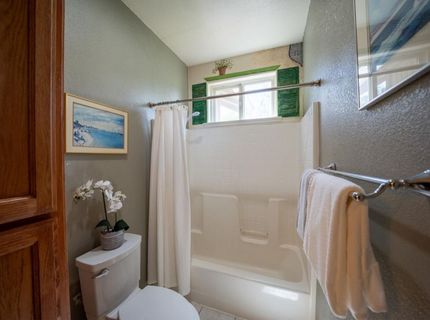 1235 Suzanne Dr, Angels Camp, CA 95222 Photo