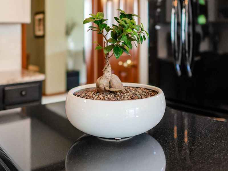 261 Whitaker Avenue N, Powell, OH 43065 Photo 14