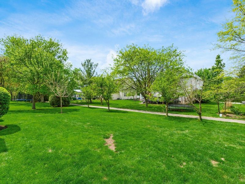 261 Whitaker Avenue N, Powell, OH 43065 Photo 37