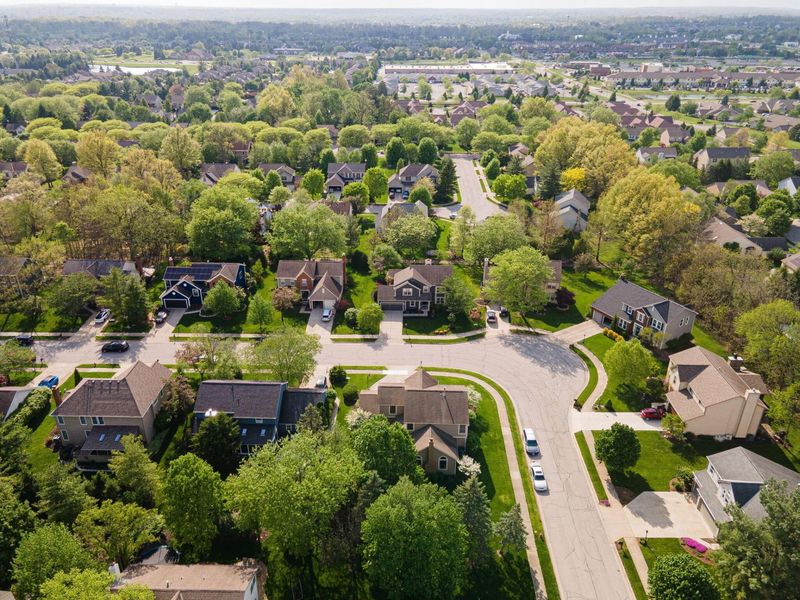 261 Whitaker Avenue N, Powell, OH 43065 Photo 41