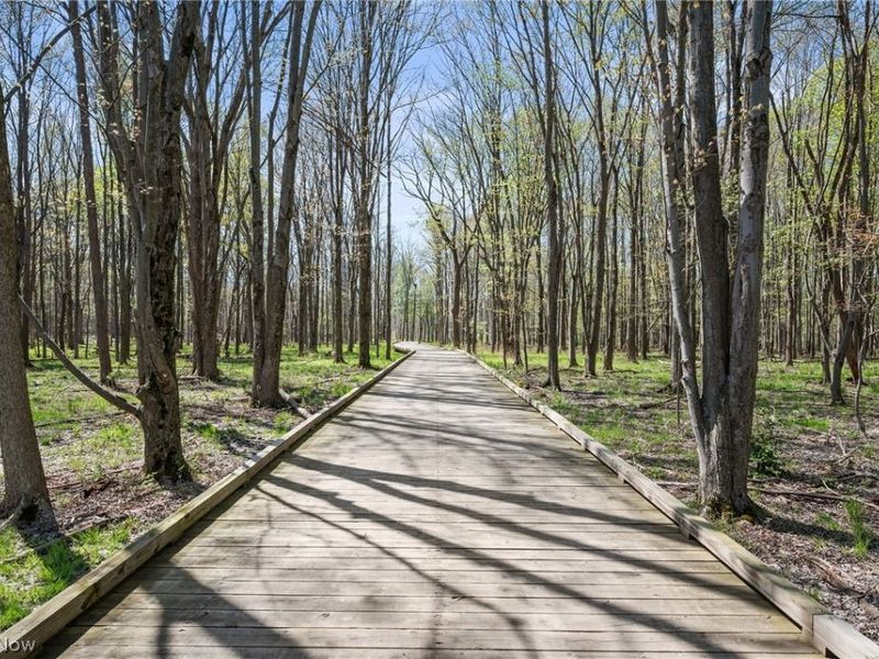 4442 Habersham Lane S, Richmond Heights, OH 44143 Photo 27