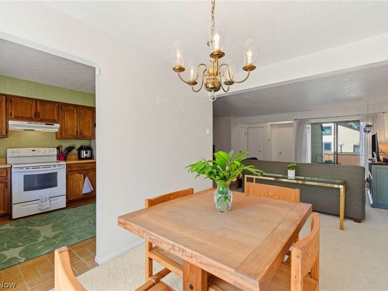 4442 Habersham Lane S, Richmond Heights, OH 44143 Photo 7