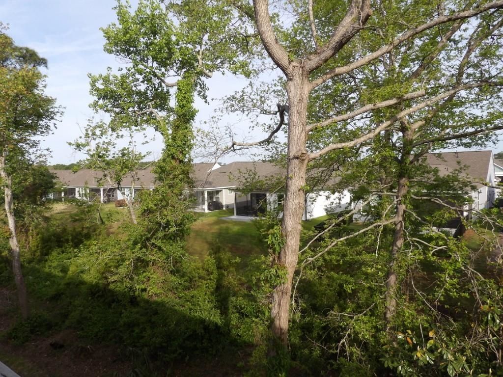 1100 Possum Trot Rd. Photo 19