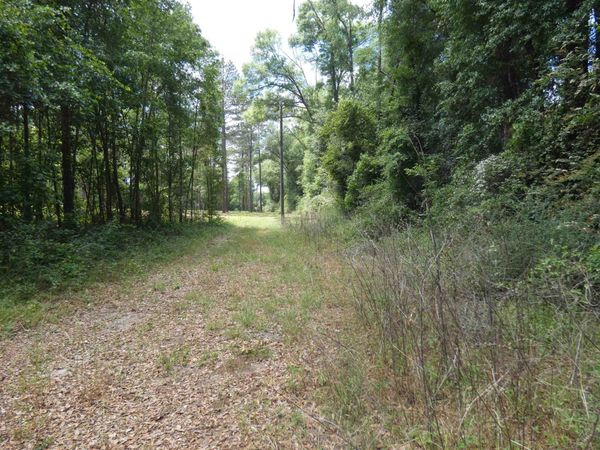 TBD W Washington , Monticello, FL 32344