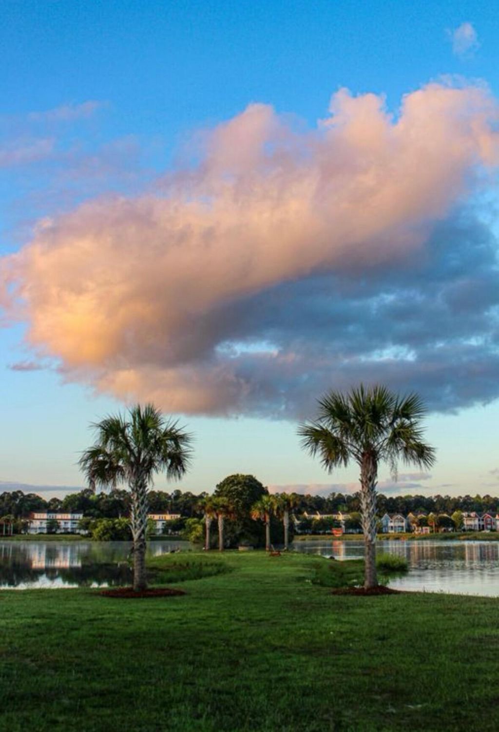 1894 Brittlebush Lane Photo 38