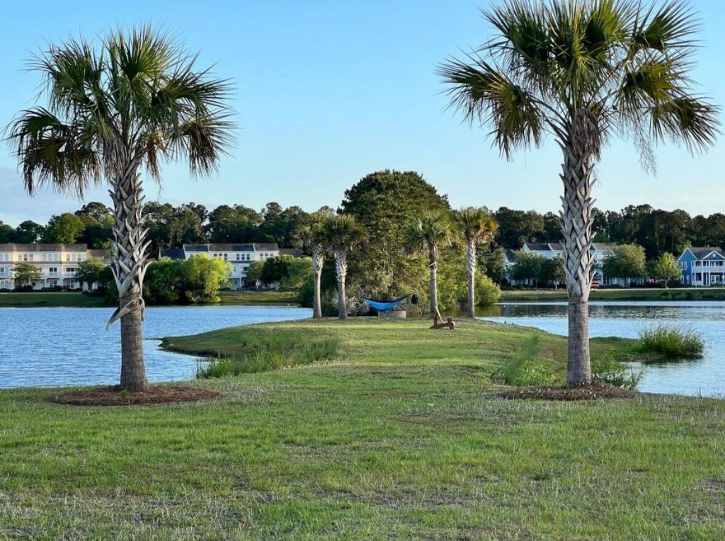 1894 Brittlebush Lane Photo 39