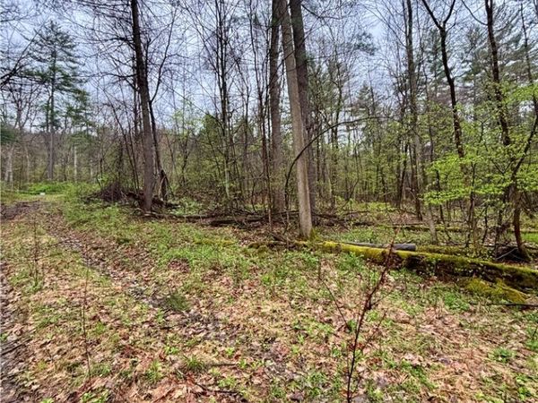 2093 Scott Road, Lindley, NY 14858