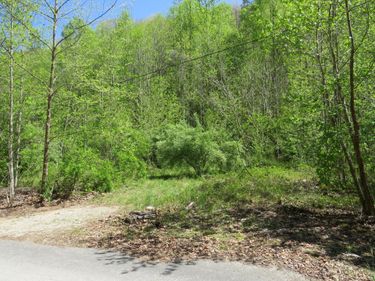 0 Trace Branch Road, Flat Lick, KY 40935