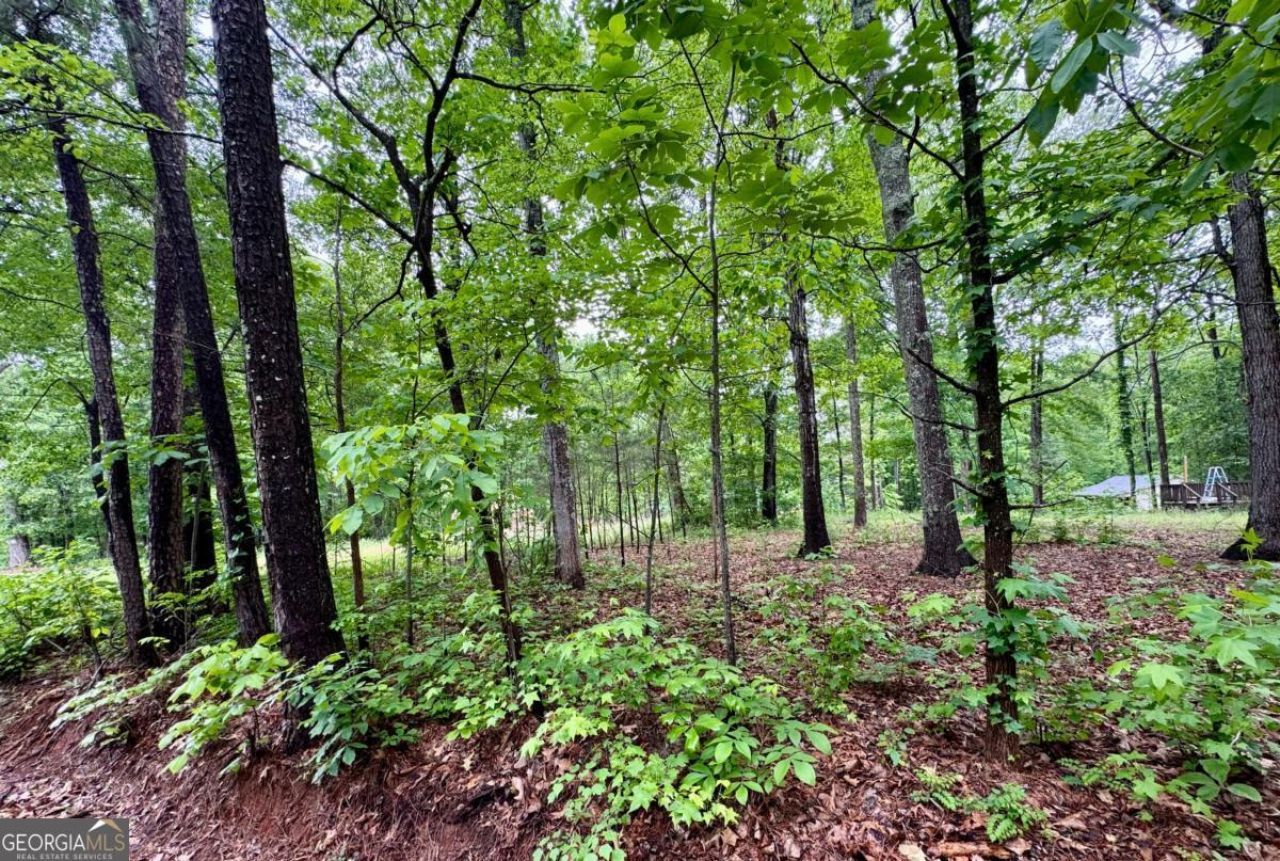 126 Mccready Drive, Dallas, GA 30157 Main Photo