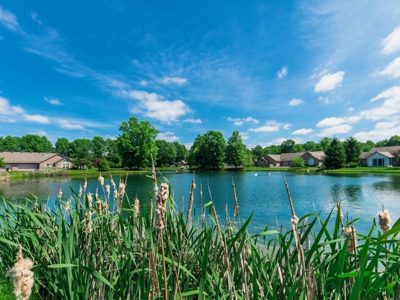 6101 Blendon Chase Drive, Westerville, OH 43081 Photo 35