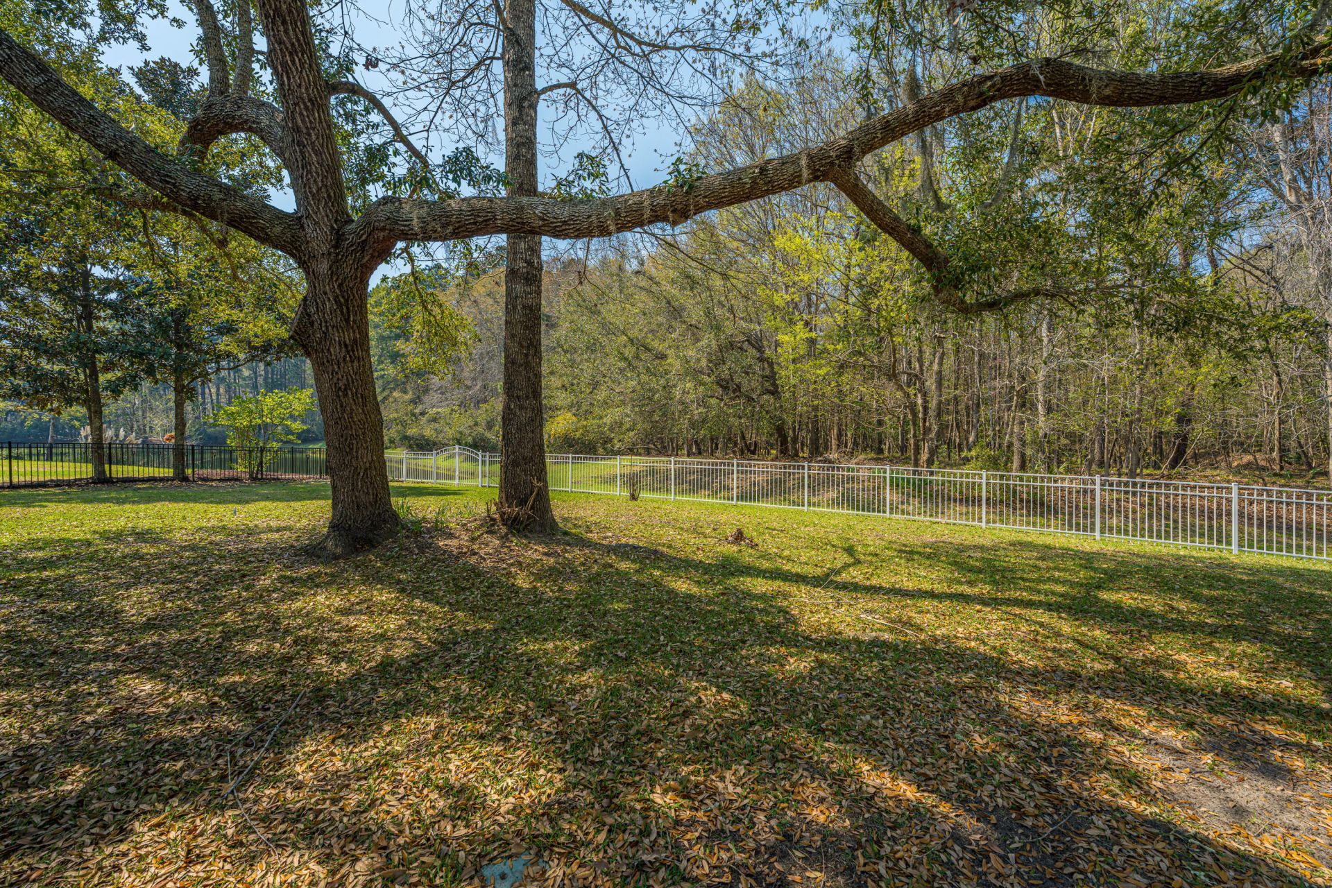 291 Cabrill Drive Photo 54