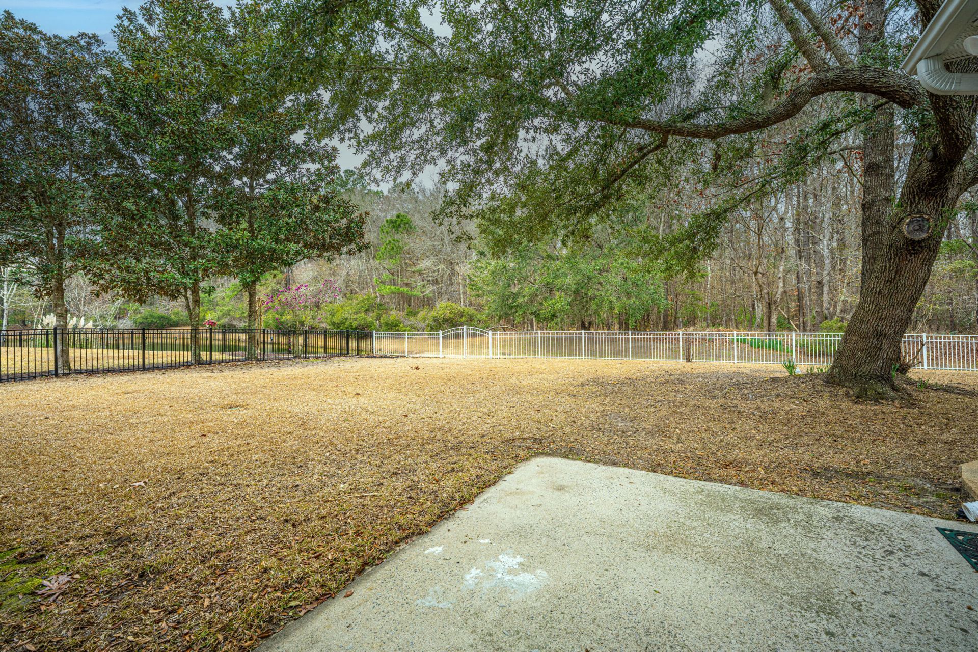 291 Cabrill Drive Photo 56