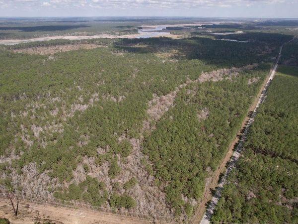 Tract C - TBD Pennyroyal Rd. , Georgetown, SC 29440