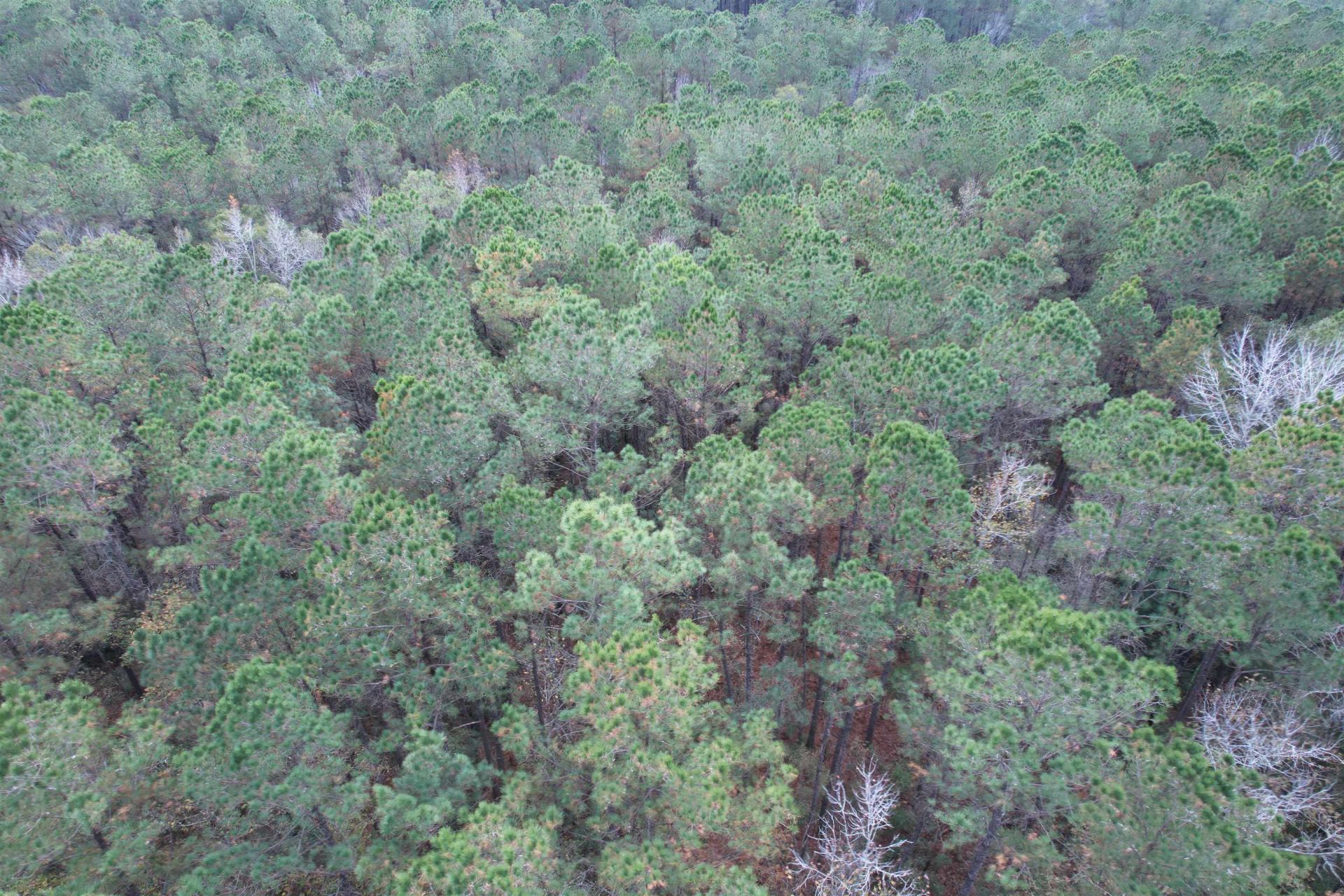 Tract C - Tbd Pennyroyal Rd. Photo 16