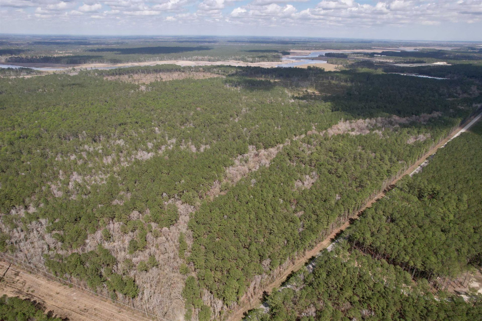 Tract C - Tbd Pennyroyal Rd. Photo 4