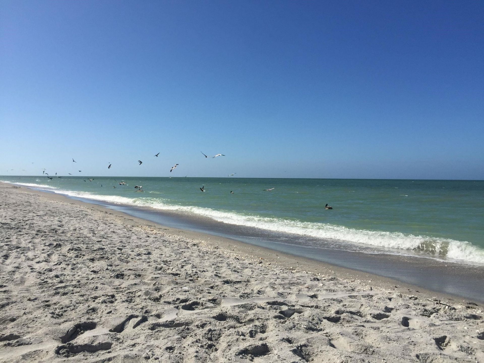 745 Cardium St, Unit 19, Sanibel, FL 33957 Photo