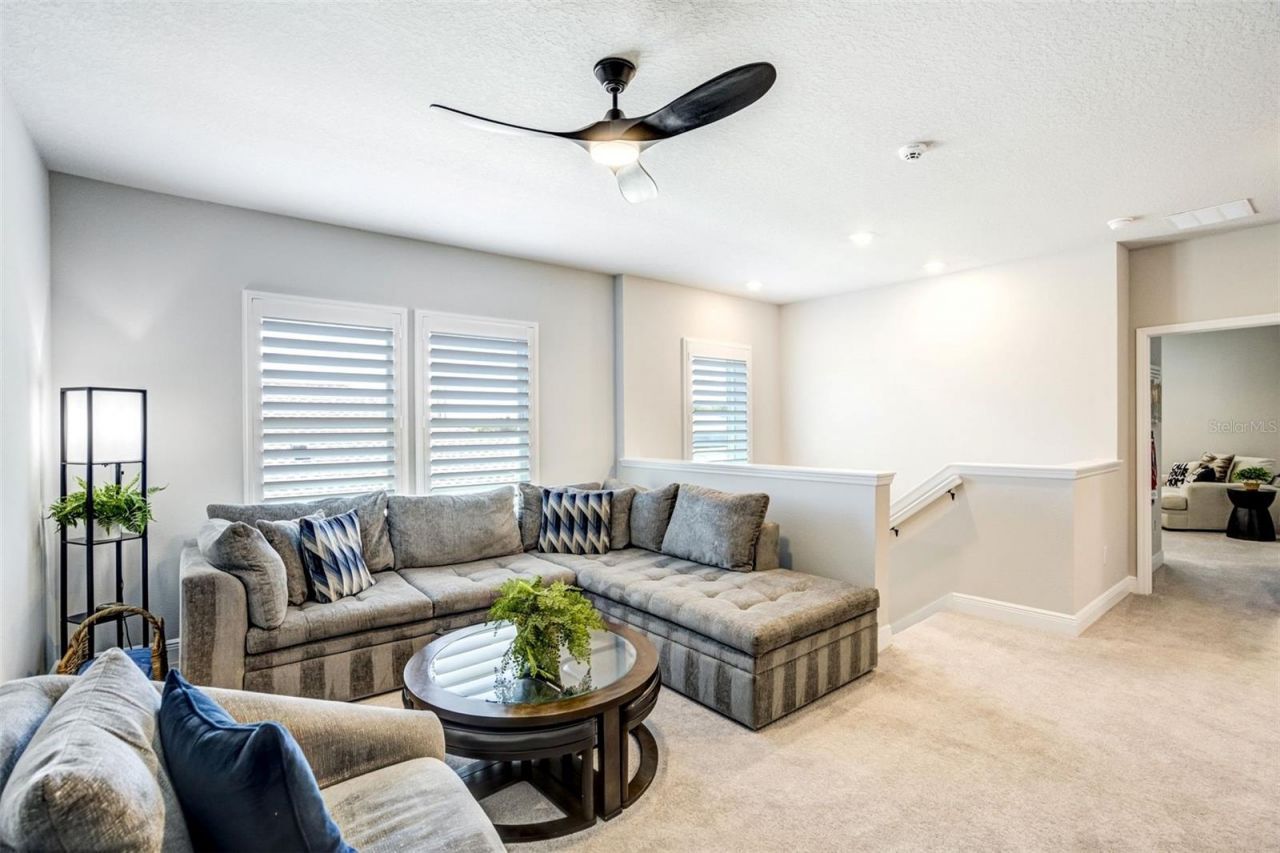 1535 Gopher Loop, Tarpon Springs, FL 34689 Photo