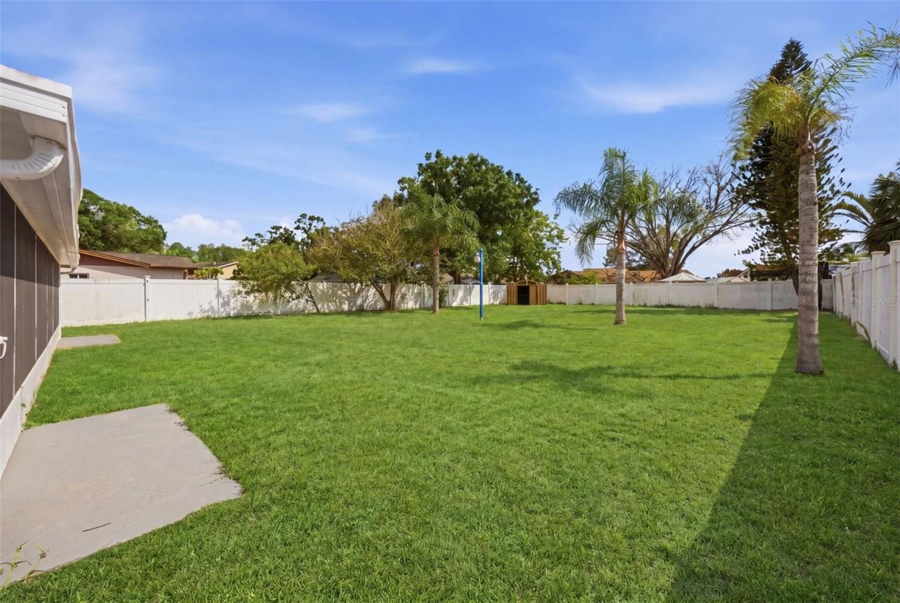 1065 Foxwood Drive, Lutz, FL 33549 Photo