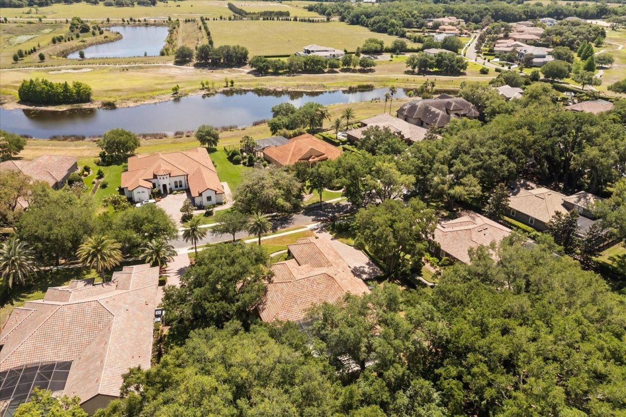 32519 Hawks Lake Lane, Sorrento, FL 32776 Photo