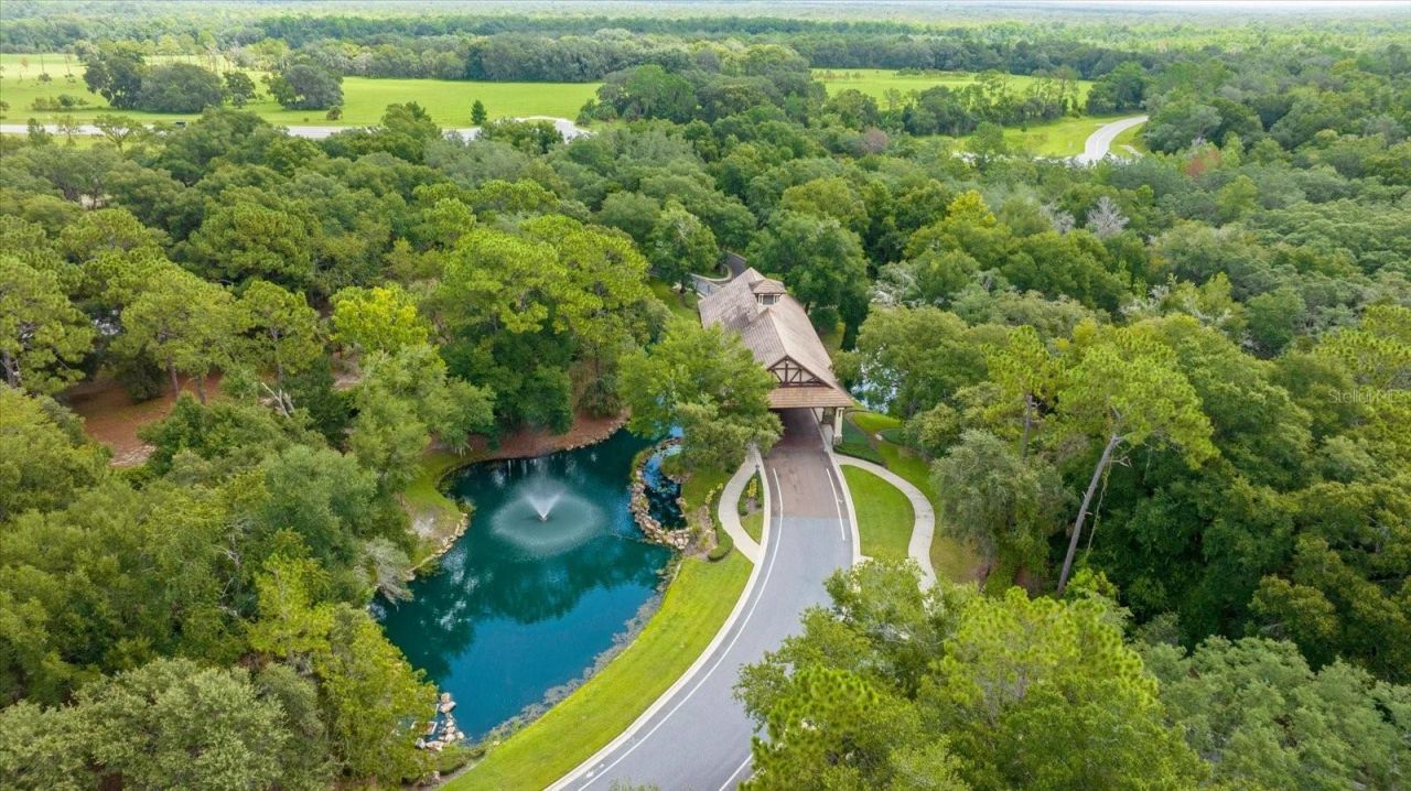 32519 Hawks Lake Lane, Sorrento, FL 32776 Photo