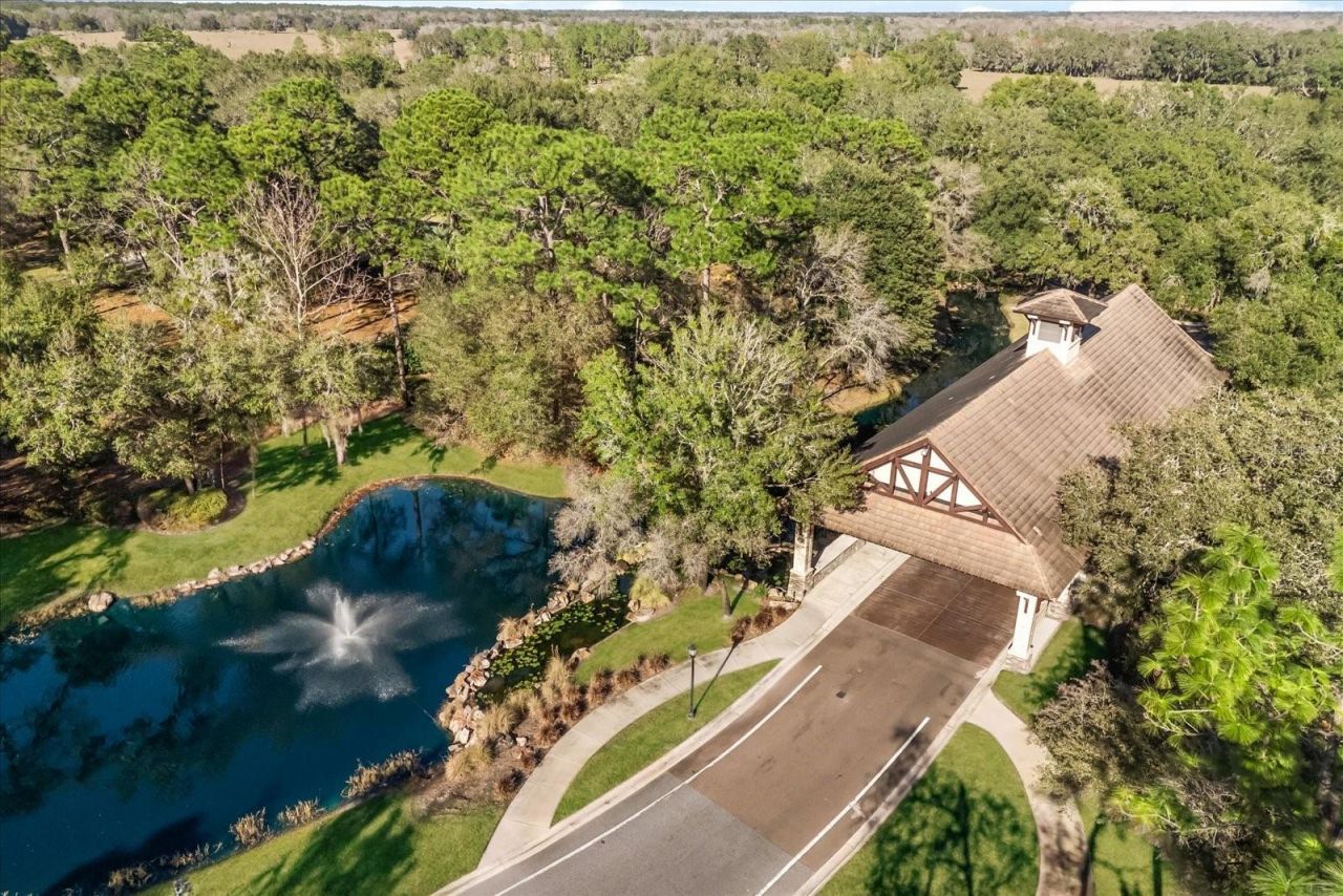 32519 Hawks Lake Lane, Sorrento, FL 32776 Photo