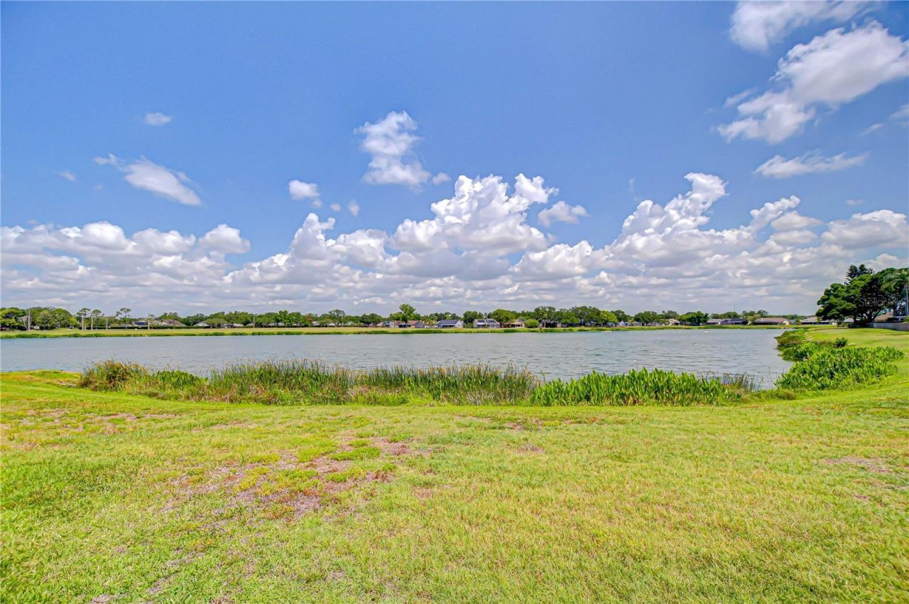 1428 Shell Flower Drive, Brandon, FL 33511 Photo