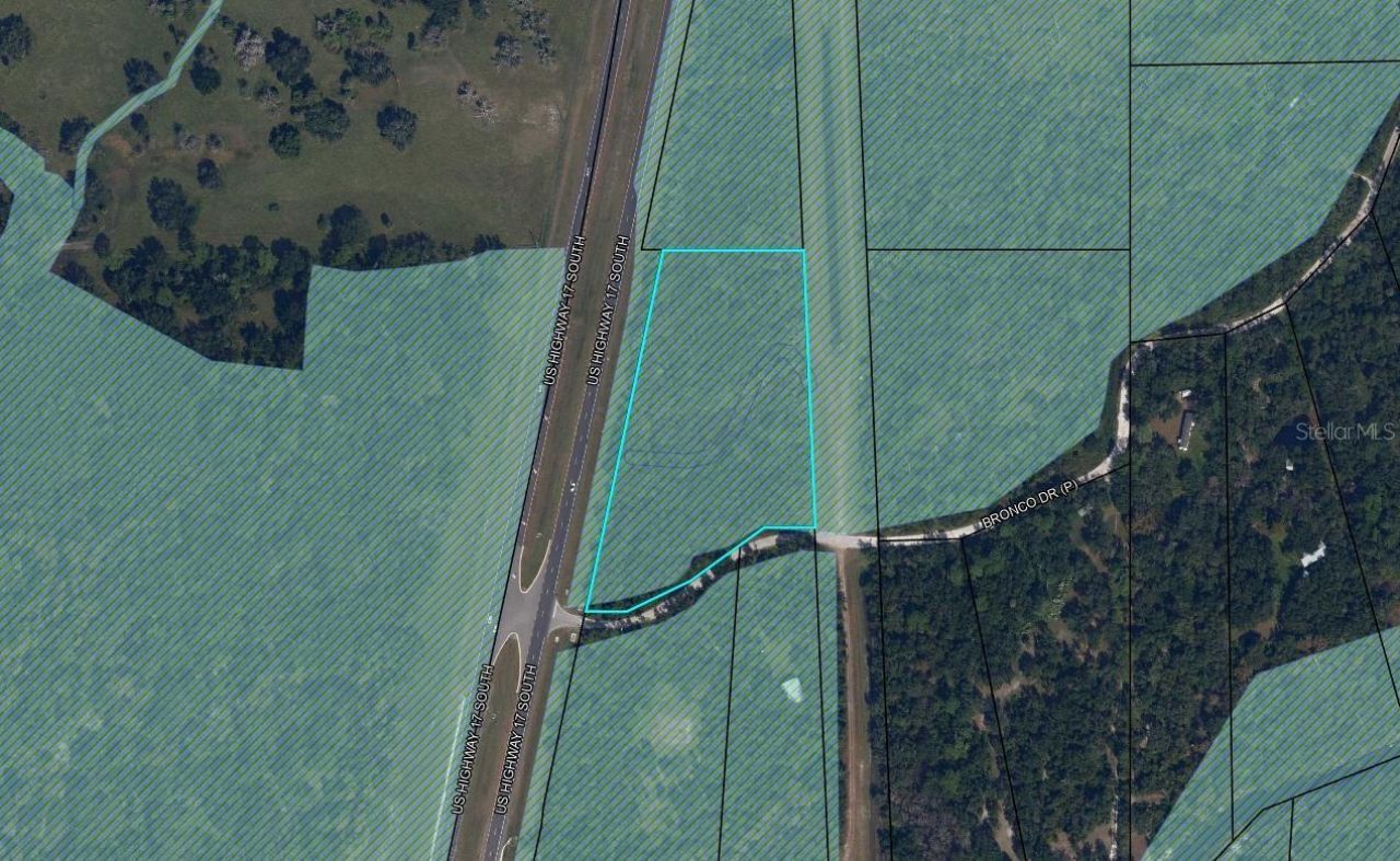 Bronco Drive, Zolfo Springs, FL 33890 Photo