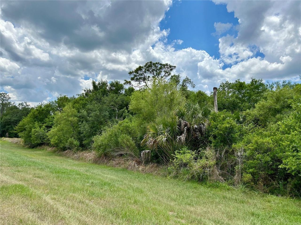 Bronco Drive, Zolfo Springs, FL 33890 Photo