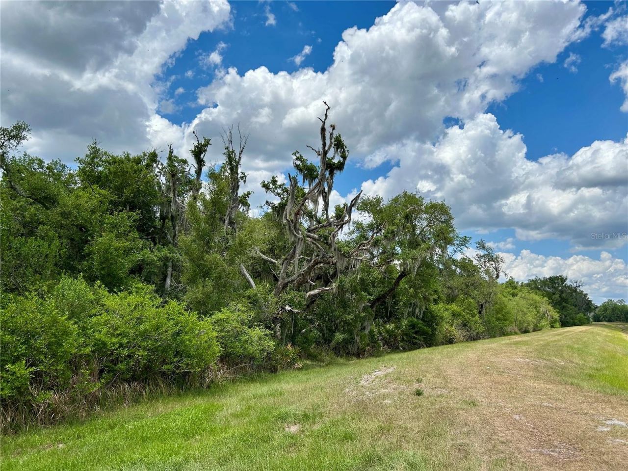 Bronco Drive, Zolfo Springs, FL 33890 Photo