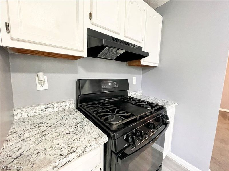 976 Rondel Road , Cleveland, OH 44110 Photo 17