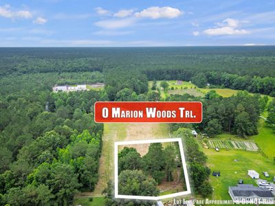 1 Marion Woods Trail, Bonneau, SC 29431