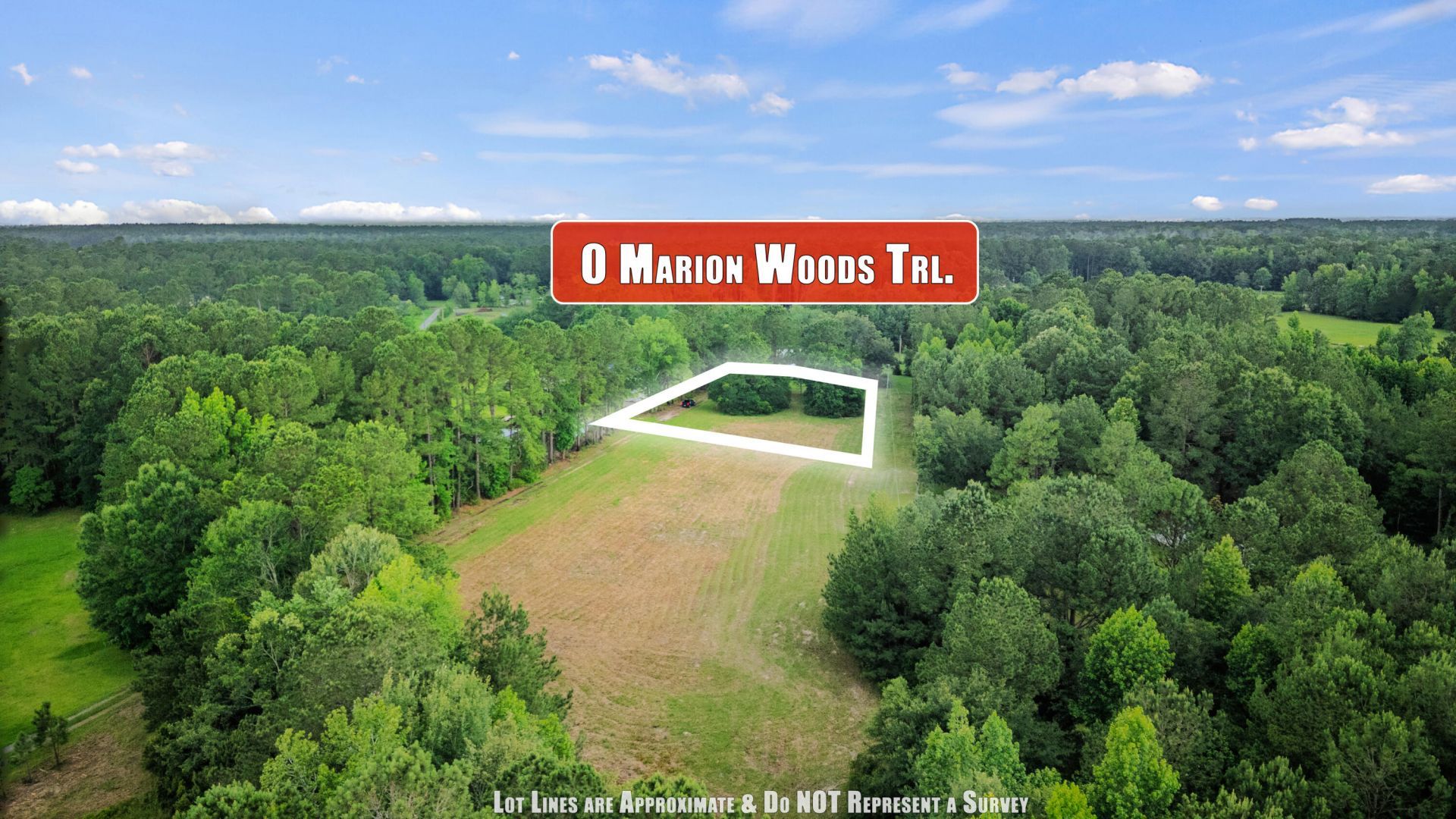 1 Marion Woods Trail Photo 12