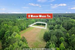 1 Marion Woods Trail photo 4