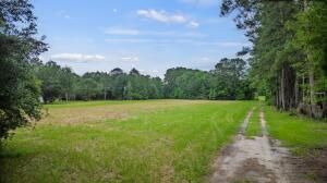 1 Marion Woods Trail Photo 4