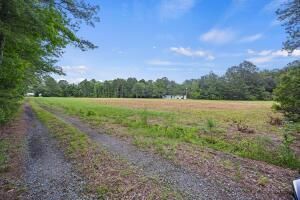1 Marion Woods Trail Photo 5