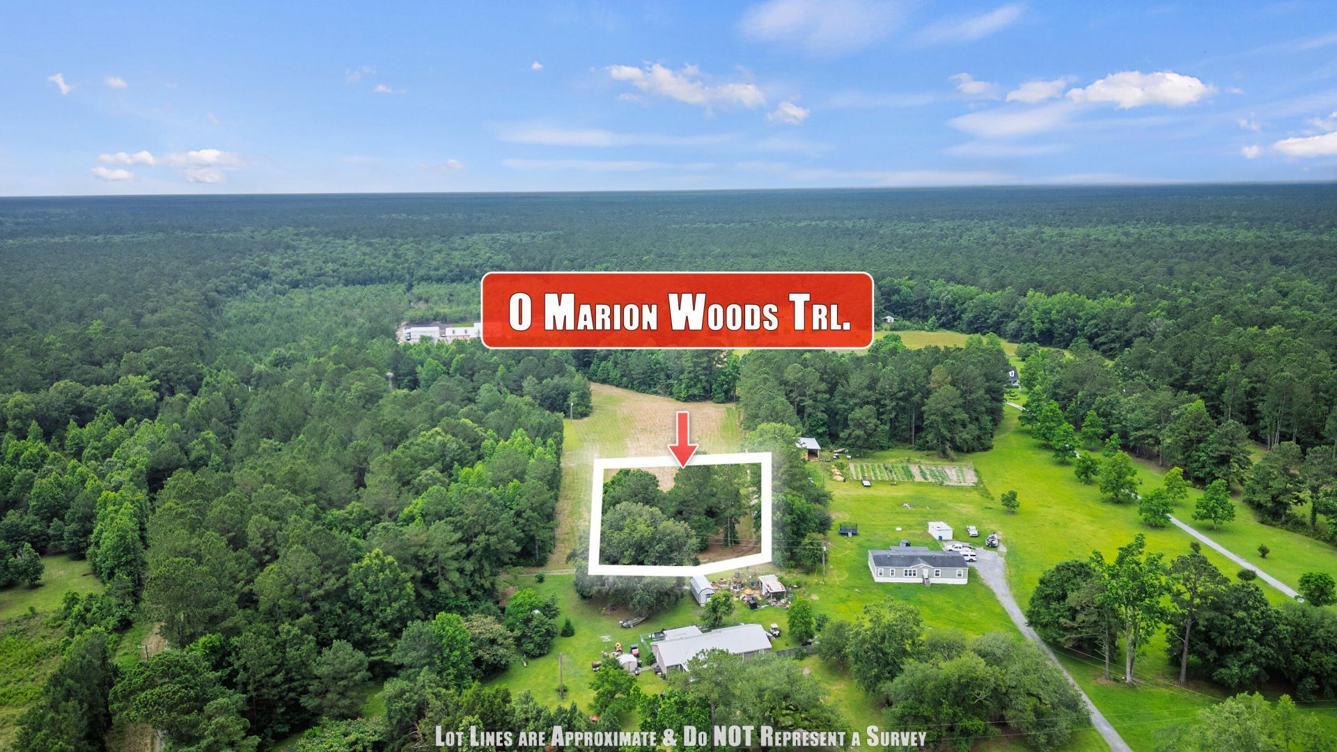 1 Marion Woods Trail Photo 6