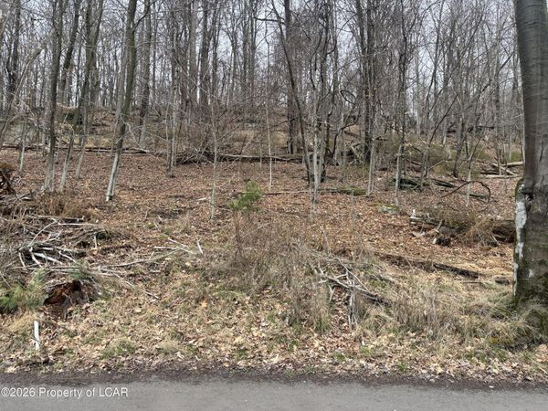 Kitchen Avenue, Harveys Lake, PA 18618