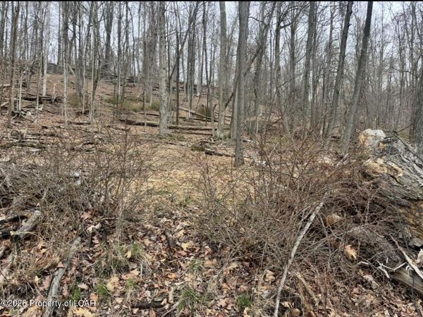 Kitchen Avenue, Harveys Lake, PA 18618