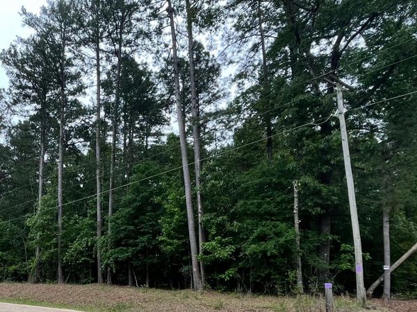 56.48 acres Ouachita 387, Camden, AR 71701