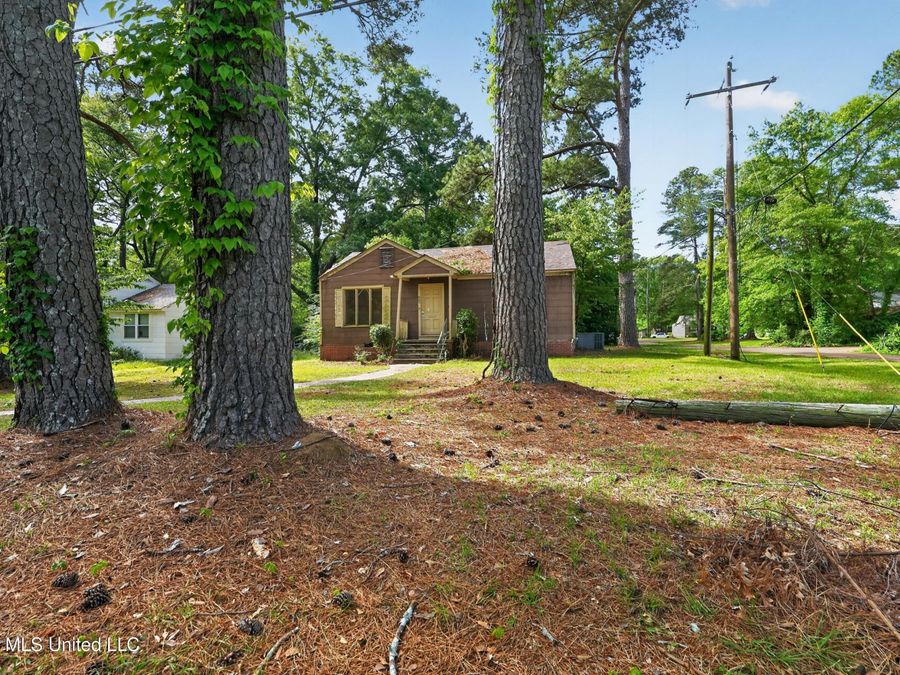 Property Image 4