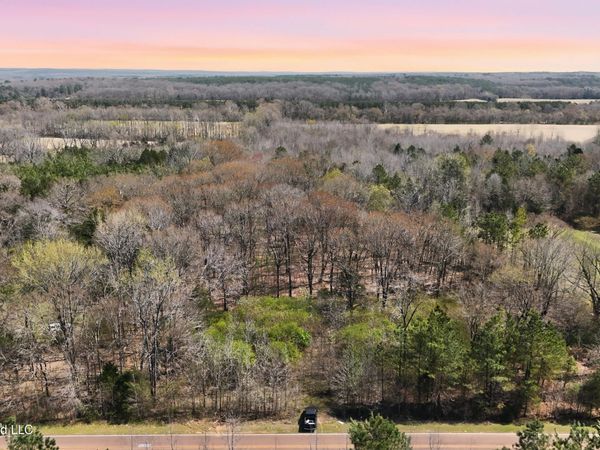 0 N Mullins Road, Byhalia, MS 38611