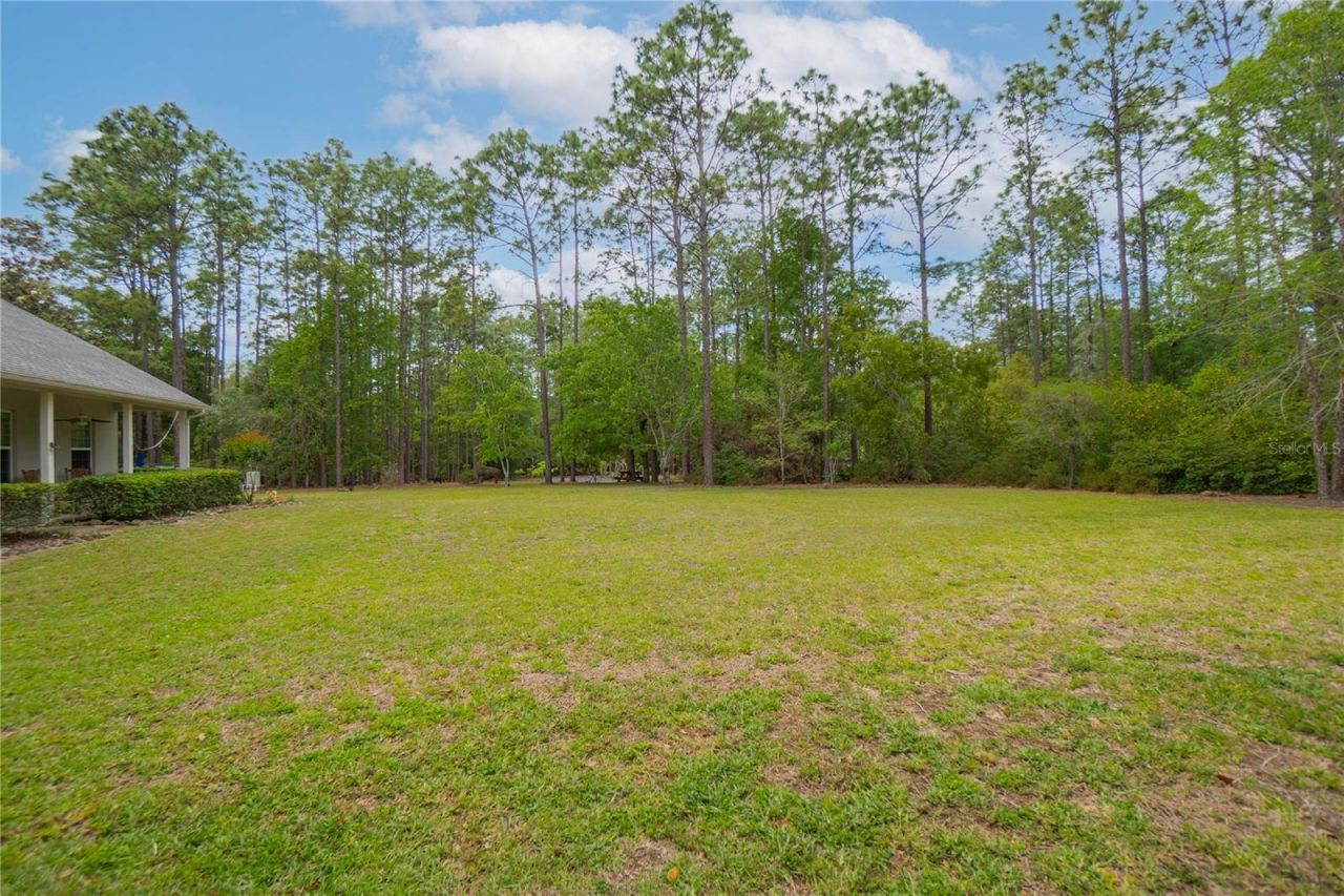 6479 W Candier Court, Dunnellon, FL 34433 Photo