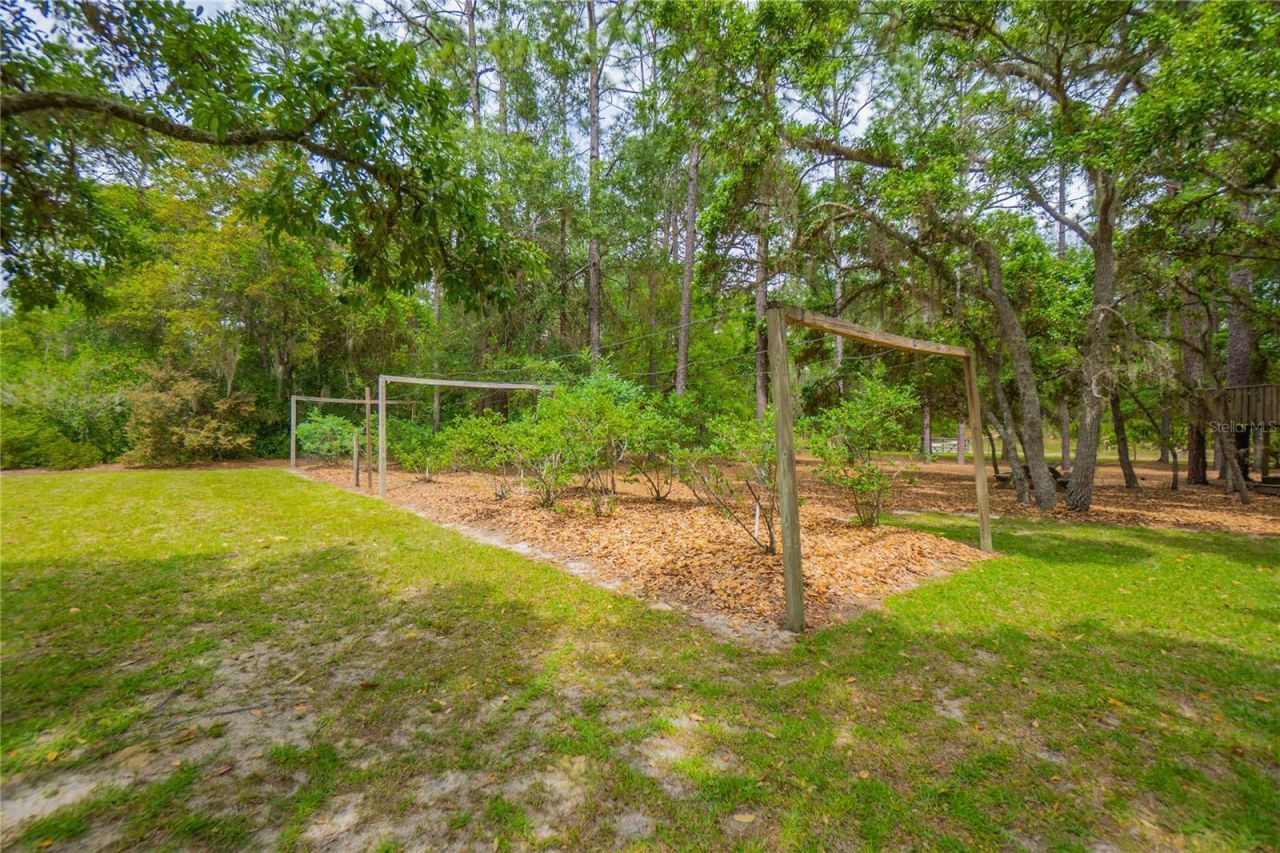 6479 W Candier Court, Dunnellon, FL 34433 Photo