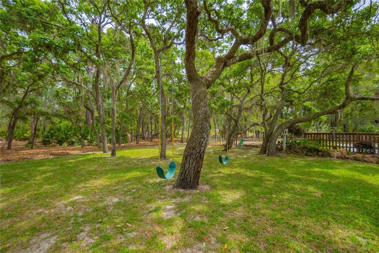 6479 W Candier Court, Dunnellon, FL 34433 Photo